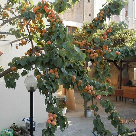 B&B Palazzo L'Occaso Castrovillari Ngoại thất bức ảnh
