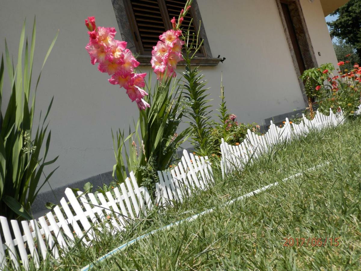 B&B Palazzo L'Occaso Castrovillari Ngoại thất bức ảnh